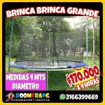 brinca